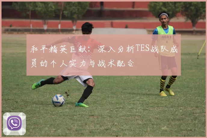 和平精英巨献：深入分析TES战队成员的个人实力与战术配合