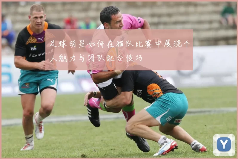 足球明星如何在猫队比赛中展现个人魅力与团队配合技巧