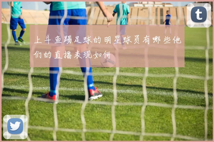 上斗鱼踢足球的明星球员有哪些他们的直播表现如何