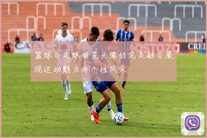 篮球与足球明星头像的完美融合展现运动魅力与个性风采