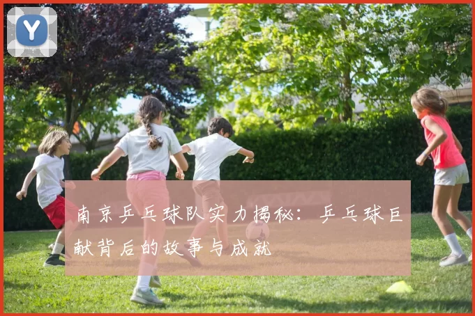 南京乒乓球队实力揭秘：乒乓球巨献背后的故事与成就